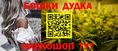 мдма Новодвинск