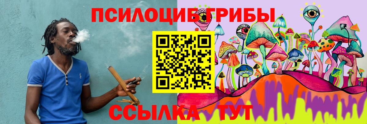 Псилоцибиновые грибы мицелий Северобайкальск