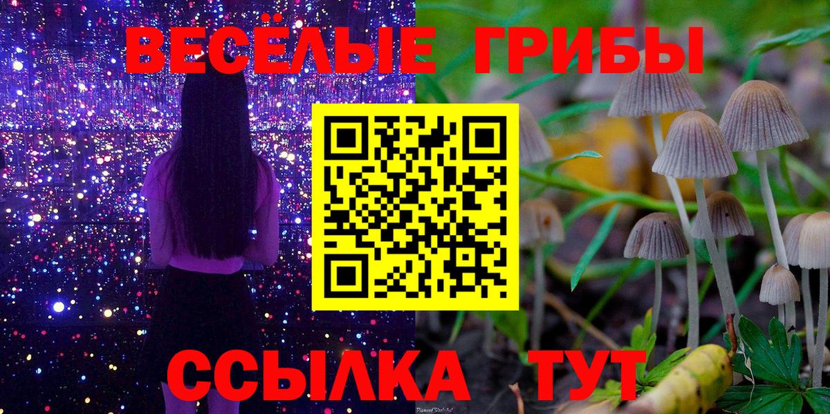 Псилоцибиновые грибы прущие грибы  Вход с VPN  Северобайкальск 